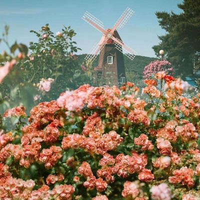 金沙威尼斯(wns)欢乐娱人城